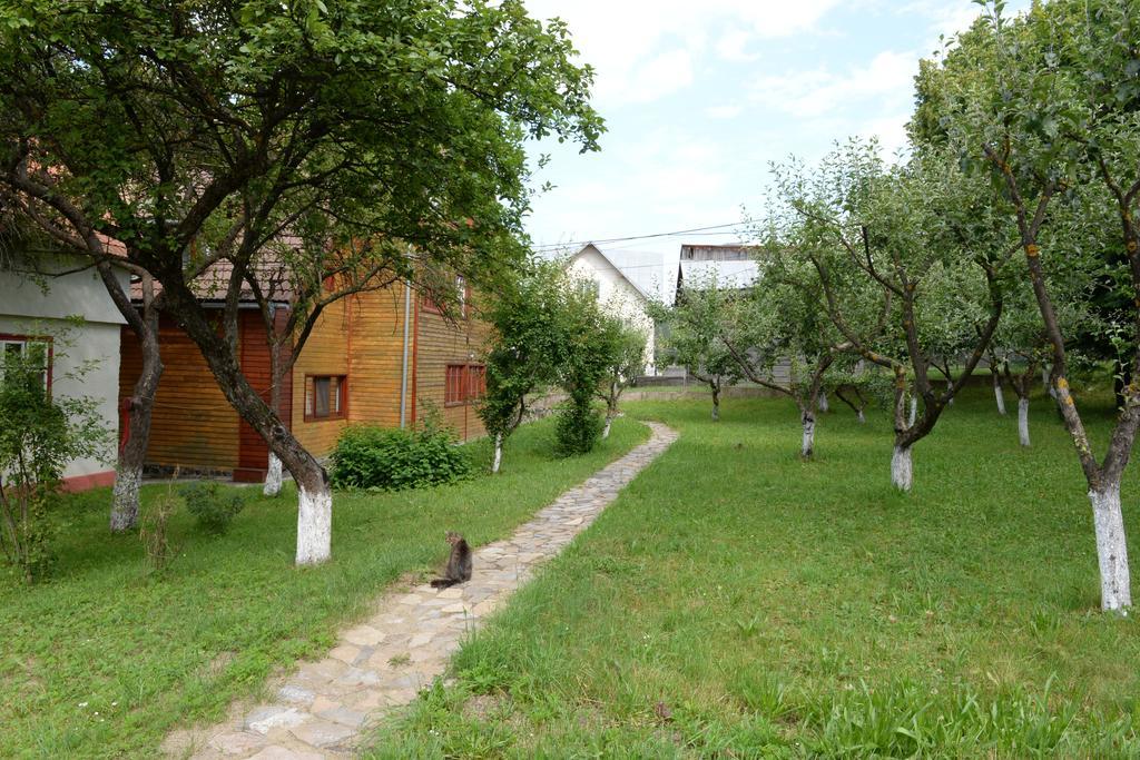 Pensiunea Flori De Camp Vatra Dornei Εξωτερικό φωτογραφία