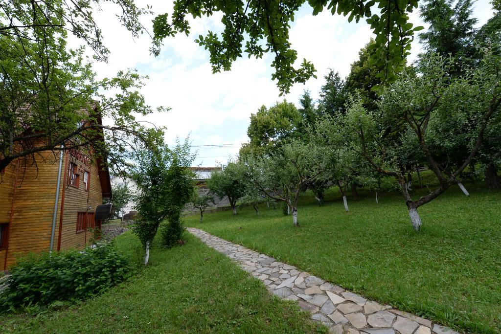 Pensiunea Flori De Camp Vatra Dornei Εξωτερικό φωτογραφία