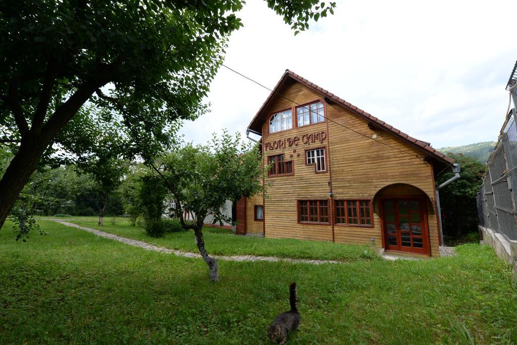 Pensiunea Flori De Camp Vatra Dornei Εξωτερικό φωτογραφία