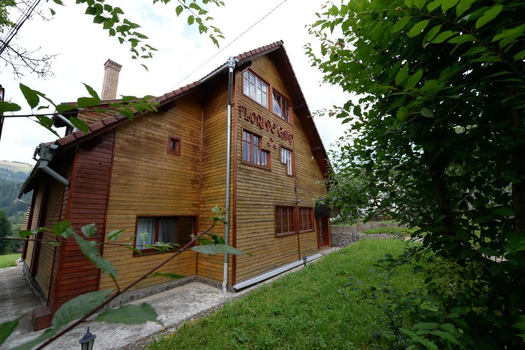 Pensiunea Flori De Camp Vatra Dornei Εξωτερικό φωτογραφία