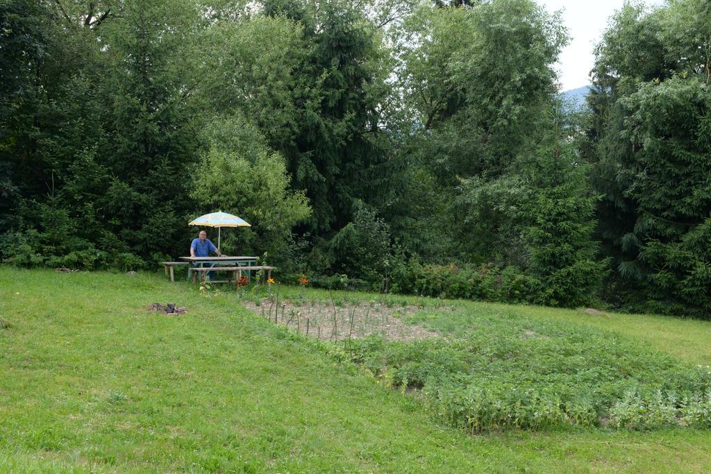 Pensiunea Flori De Camp Vatra Dornei Εξωτερικό φωτογραφία