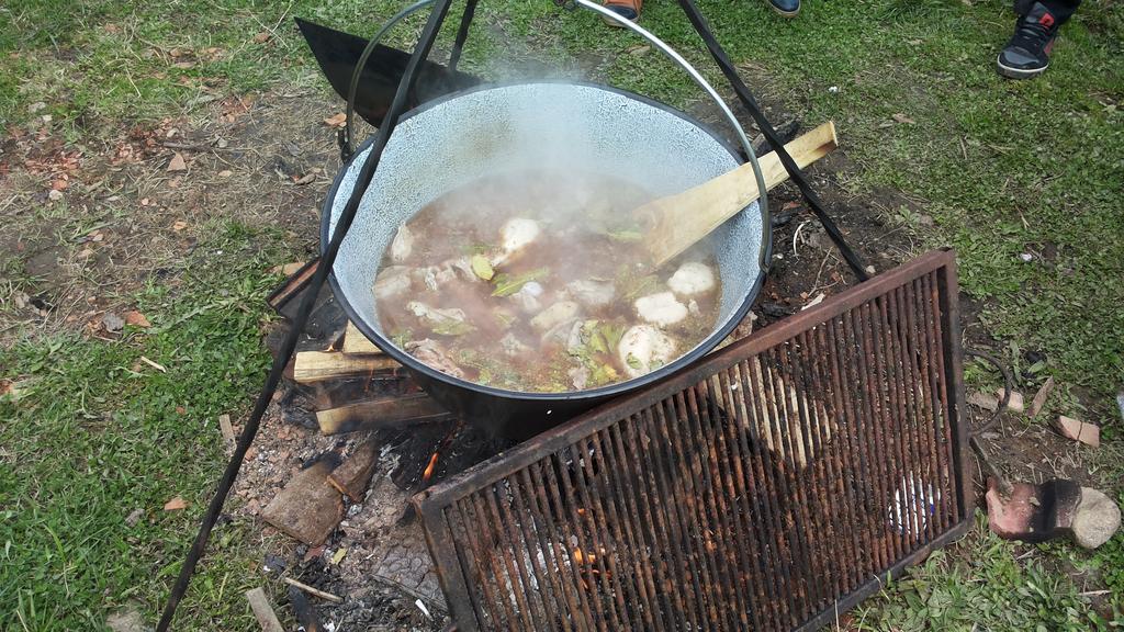 Pensiunea Flori De Camp Vatra Dornei Εξωτερικό φωτογραφία