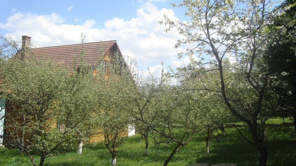 Pensiunea Flori De Camp Vatra Dornei Εξωτερικό φωτογραφία