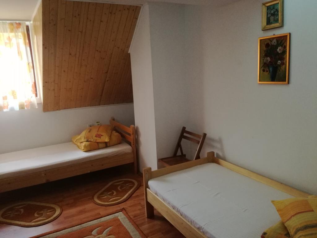 Pensiunea Flori De Camp Vatra Dornei Εξωτερικό φωτογραφία