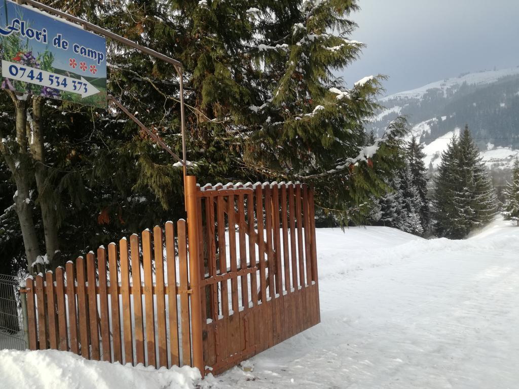 Pensiunea Flori De Camp Vatra Dornei Εξωτερικό φωτογραφία